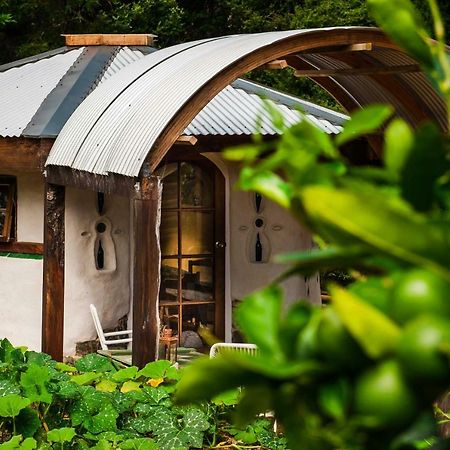 Cob Cottage @ Tara Retreat Mangawhai Bagian luar foto